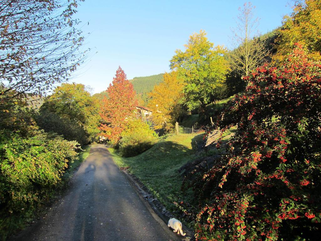 Casa Rural Goikola Pension Deba Buitenkant foto